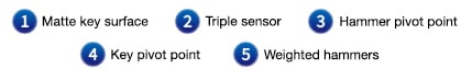 Numbers identifying components of previous image: 1) Matte key surface 2) Triple sensor 3) Hammer pivot point 4) Key pivot point 5) Weighted hammers